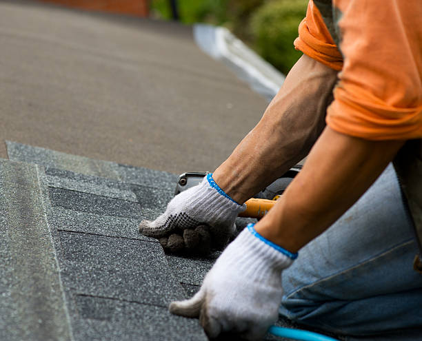Best Roof Restoration Services  in Nibley, UT